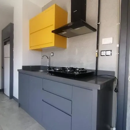 Appartamento Cicek Apart Denizli (Denizli)